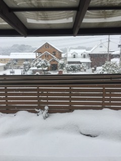 福岡、雪積もりました！