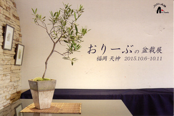 2015　3rd　オリーブの盆栽展　10/6(火)～11(日)　