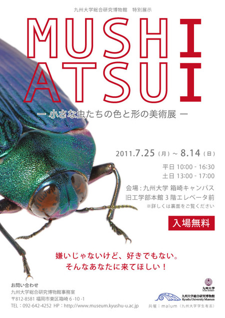 昆虫展「MUSHI ATSUI」