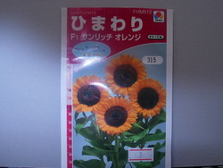 ひまわりの種