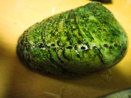 これ何だ?