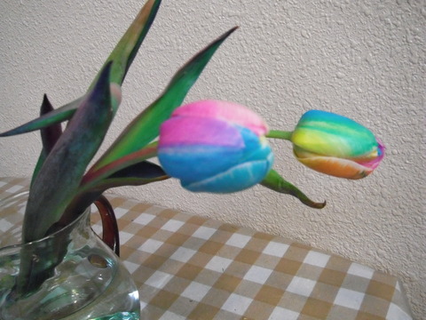 虹色の花