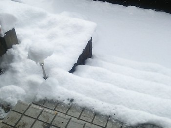 今日も雪(´Д｀)