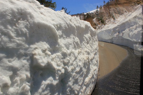 雪の回廊を歩く～乗鞍岳春山バス