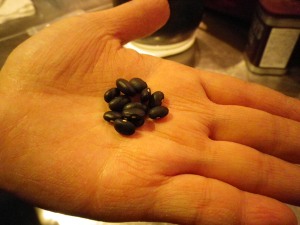 黒インゲン豆