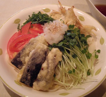 この夏ハマッタもの ③ ~冷やしぶっかけうどん