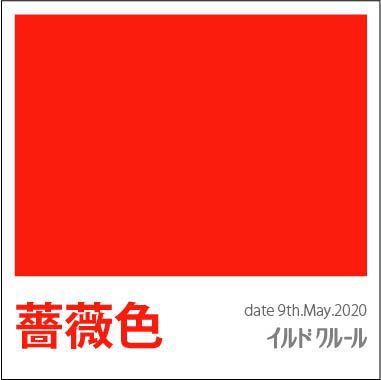 色彩採集福岡2020バラ色イルドクルール 色彩採集福岡2020バラ色イルドクルール