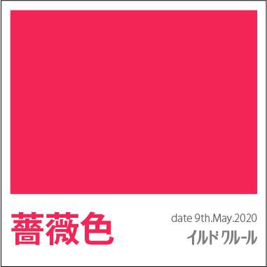 rose福岡色彩採集2020 rose福岡色彩採集2020