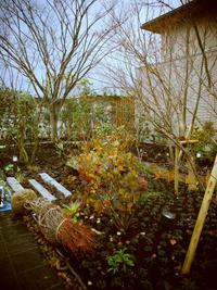 日本庭園を学ぶ　Japanese garden observation