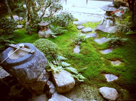 日本庭園を学ぶ