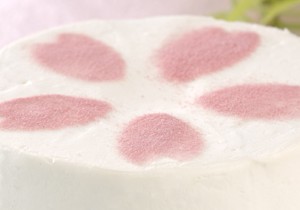 ノンオイル簡単シフォンケーキ作り方・レシピ