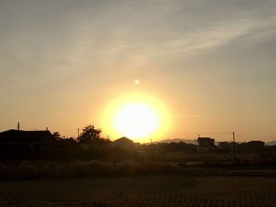 新年あけましておめでとうございます♪ 新年あけましておめでとうございます♪