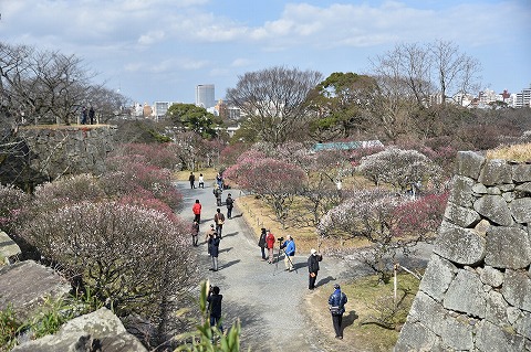 早春の薫る福岡城を歩くコースを開催しました！