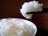 お米の洗米について
