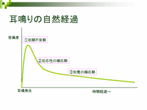 セミが鳴く?