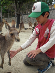 ひびき動物ワールド♪(グリーンパーク3)
