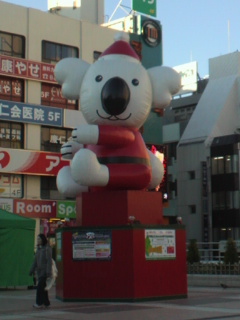 サンタコアラ♪