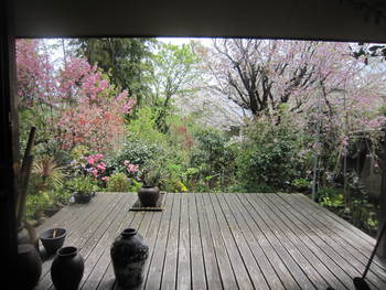 明日からのアトリエは・・・　＆　4月8日花の日の庭の風景