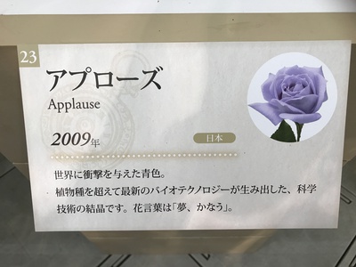 国際バラとガーデニングショウ❣️④❣️ 国際バラとガーデニングショウ❣️④❣️