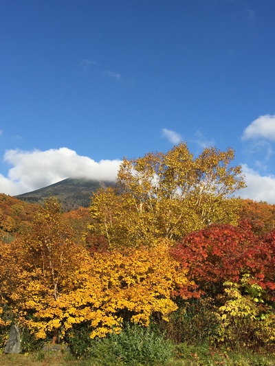 ☆青森☆八甲田山の酸ヶ湯温泉にて ☆青森☆八甲田山の酸ヶ湯温泉にて