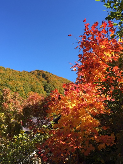 ☆青森☆八甲田山の酸ヶ湯温泉にて ☆青森☆八甲田山の酸ヶ湯温泉にて
