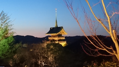 京都trip★夜の高台寺