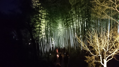 京都trip★夜の高台寺