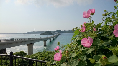 山口☆綺麗な海、角島大橋！