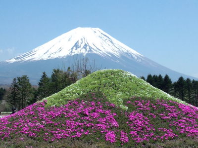 W・フジヤマ♥ W・フジヤマ♥