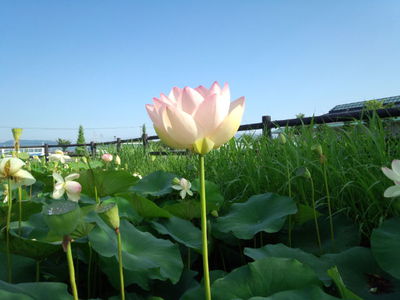 早朝から(*^_^*) 早朝から(*^_^*)