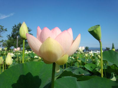 早朝から(*^_^*) 早朝から(*^_^*)