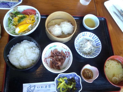 呼子で新鮮イカ刺し(*^▽^*) 呼子で新鮮イカ刺し(*^▽^*)