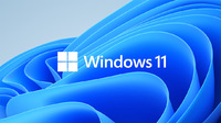 偽の Windows 11 インストーラーが出回っている!