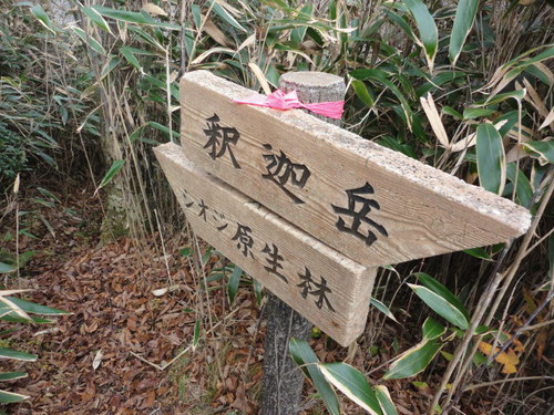 菊池神社の菊人形、菊池渓谷をイメージ沢登り、釈迦御前