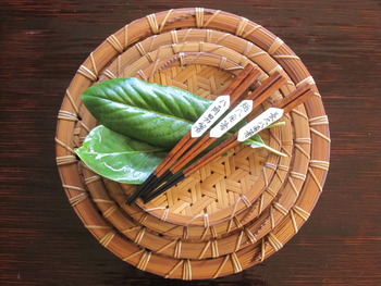 ＜木曽の竹と漆展＞～１１/７―”竹の亀甲編皿”と”漆八角箸”