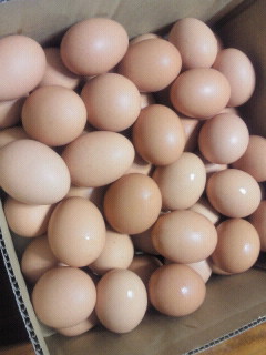 熊本でお願い?(^-^)