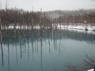 北海道GW⑦　ブルーの池