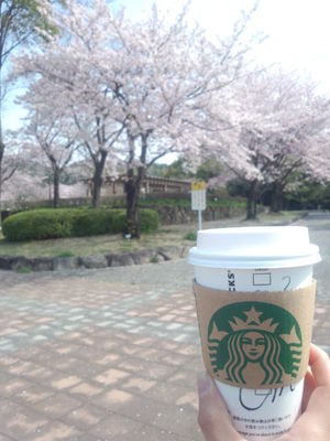 バイキングランチ