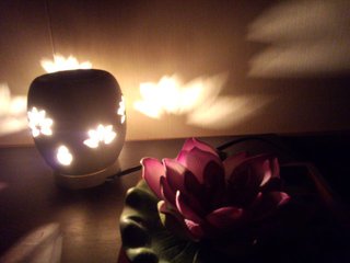 のんびりな夜のはずが