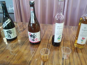 楽しかった休日②