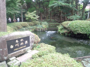 阿蘇で地鶏たべたよん(^^♪
