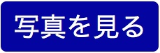 【写真特集】[総体]筑紫台は小林の２試合連続ゴールで東海大福岡に勝利しベスト４進出(18枚)