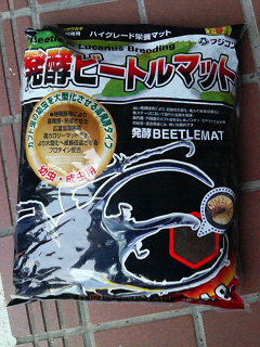 昆虫マット2