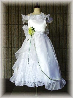 豪華な白いドレス