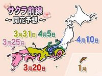 関東は桜満開、九州と逆転？