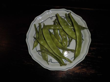 インゲン豆収穫