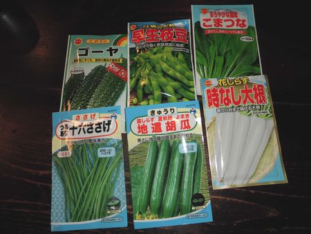 夏野菜の種まき