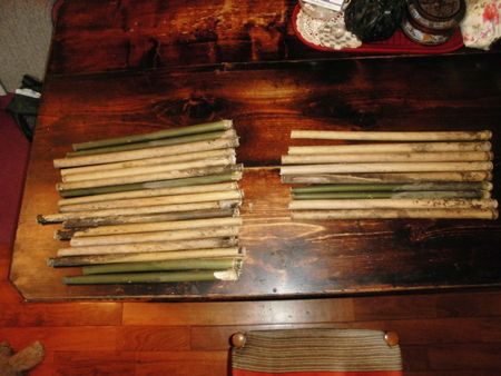 篠笛用の篠竹を採取