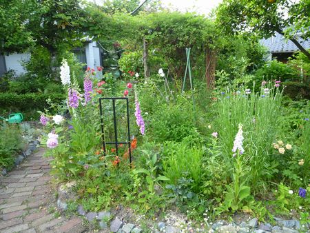 バラコーナーのバラ以外の花たち