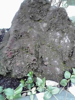 山の石